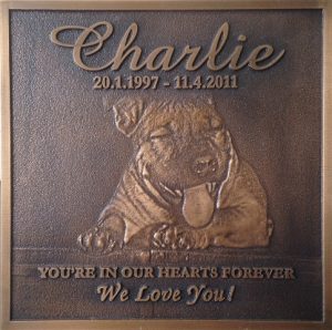 9a1deef6b8a6bdd65a16229773657f50